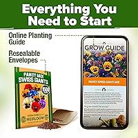 Vista 8 de HOME GROWN Pansy Swiss Giants Mix – 1500 semillas de flores (0.08 oz) – Semillas de pensamiento de plantación de otoño – Semillas de viola