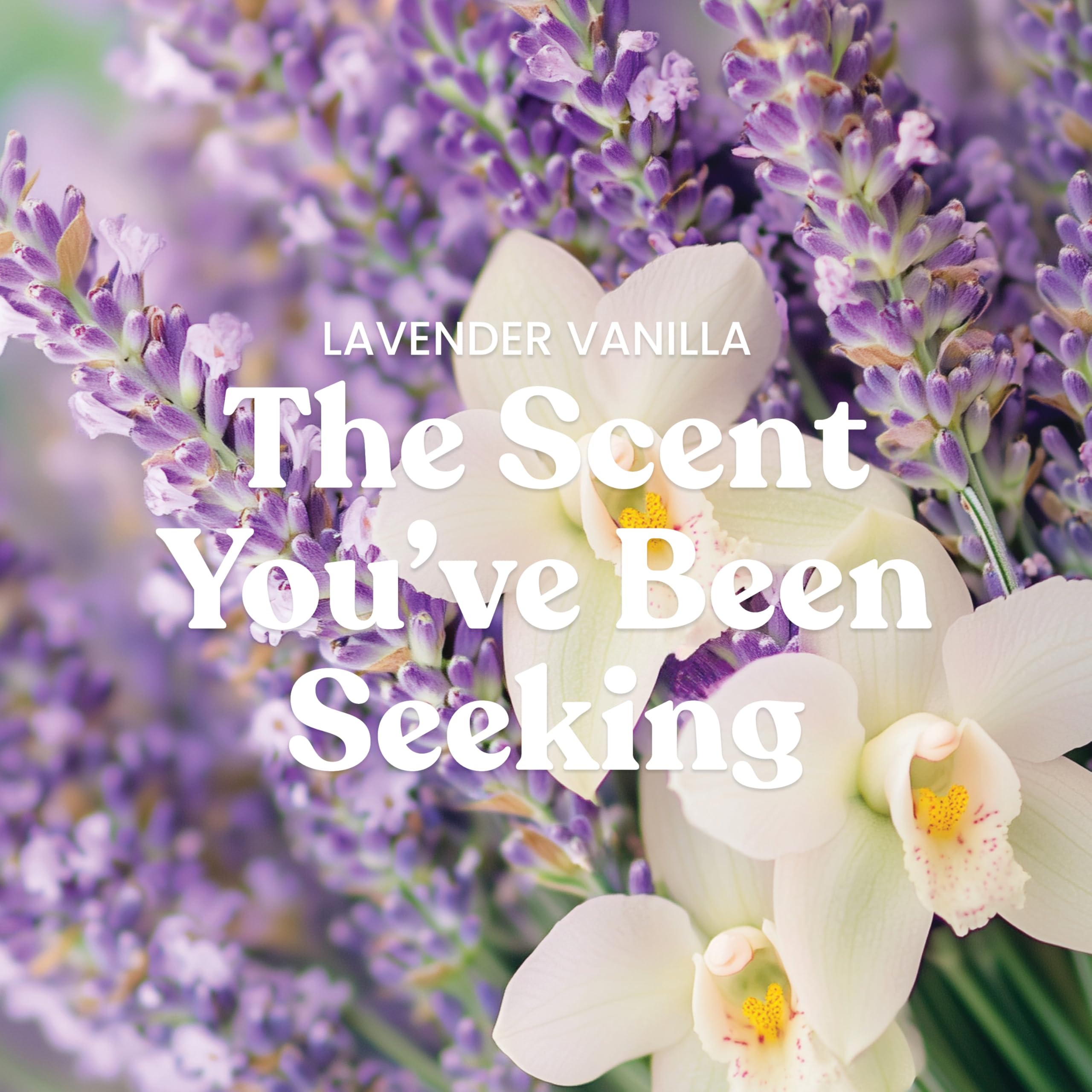 Yankee Candle Large Jar Scented Candle with up to 150 Hour Burn Time, Premium Plant Wax Blend for Consistent Burn, 22 oz Jar Candle with Room Filling Fragrance, Lavender Vanilla