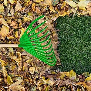 Amazon.com: Garden Rake Head, Small Leaves Rakes for Gardening ...