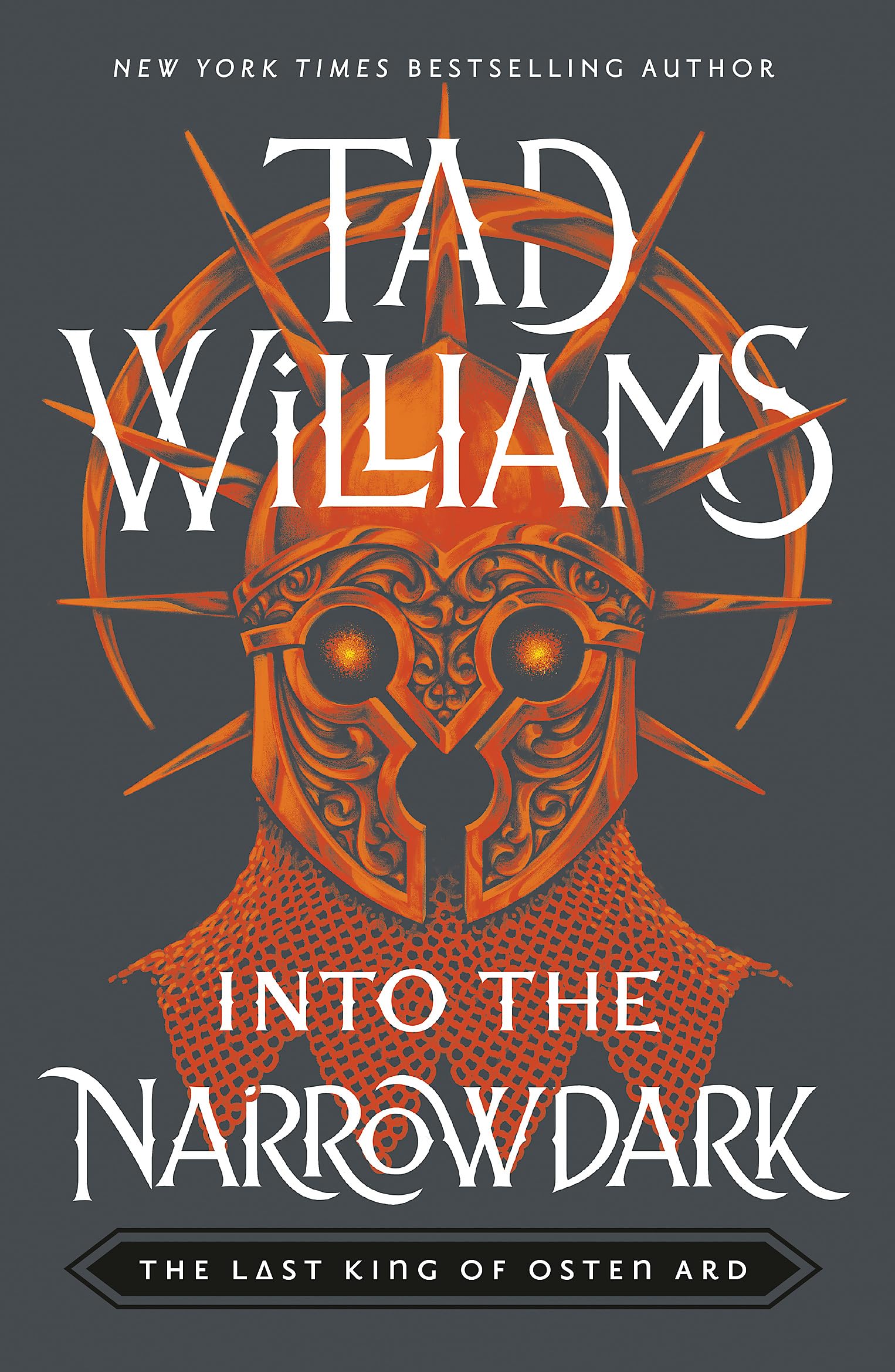 Into the Narrowdark by Tad Williams (Paperback Book)