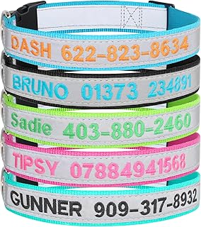 Personalisiertes Hundehalsband Mit Gestickter ID, Name & Telefonnummer - Breakaway Reflektierendes Halsband in 4 Größen: XS, S, M, L product image