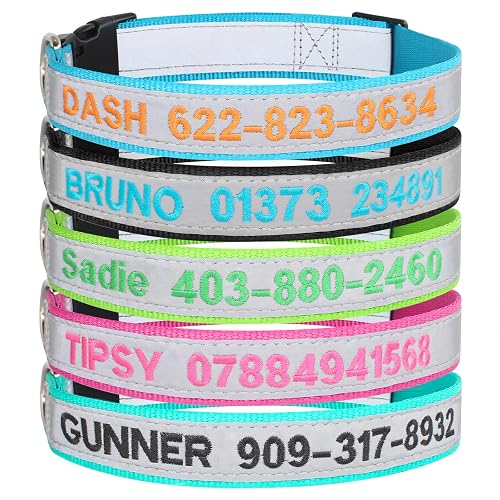 Collar reflectante personalizado para perro