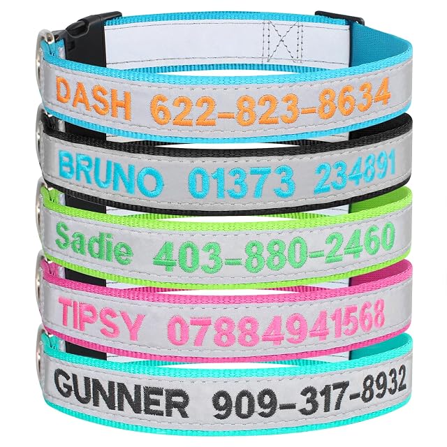 Collar reflectante personalizado para perro