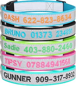 Dog Collar With Name Tag Personalized Reflective Dog Collar With Engraved ID Tag – Adjustable Nylon, Multiple Colors, Great For Safety Personalized Dog Collars Canada - Foto 9