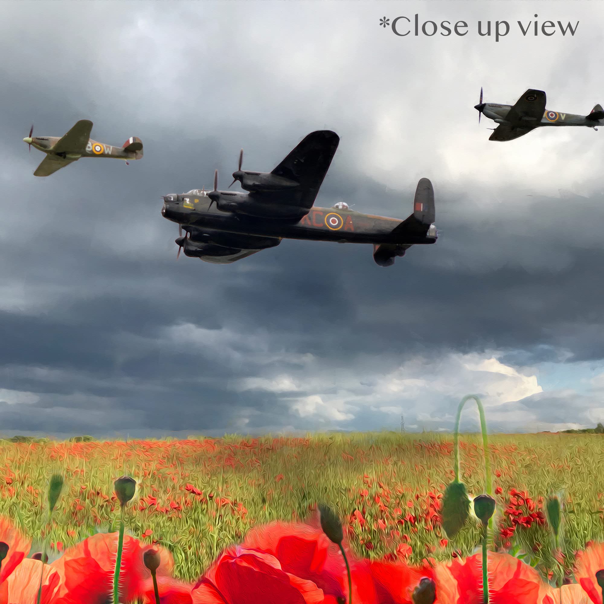 Stampa Su Tela Canvas: Spitfire E Campo Di Papaveri Al Tramonto - Red Bus Prints® - Foto 5