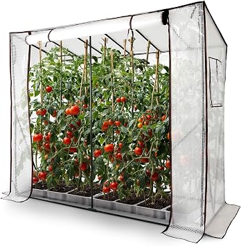 Arebos Tomato Greenhouse Foil Greenhouse 200 x 77 x 170 cm 2 Ventilation Windows & Rolling Door Tomato House Greenhouse Large Tomato Tent Cucumber Garden Cold Frame