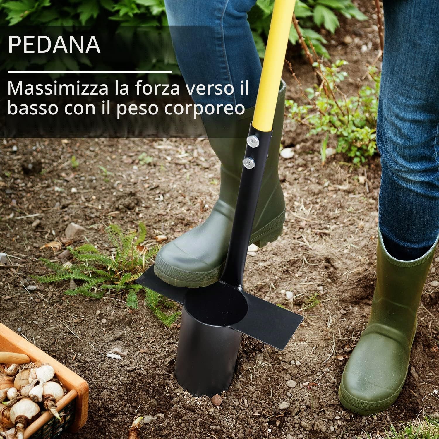 Set di strumenti per piantare bulbi Jardineer 3 pezzi, strumento per piantare bulbi a manico lungo e piccolo trapiantatore per bulbi con impugnatura morbida per scavare buche per piantare tulipani