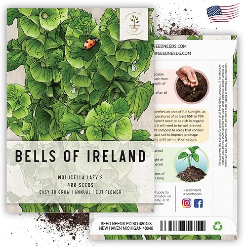 Miniatura 6 de Seed Needs, Bells of Ireland Seeds - 400 semillas tradicionales para plantar Molucella laevis - Flores verdes en forma de campana, perfectas como
