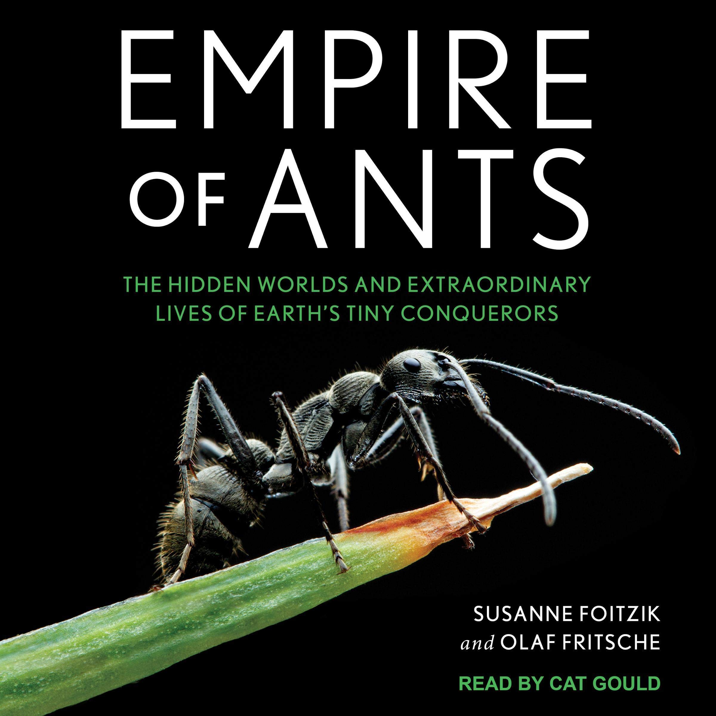 Cover art for Empire of Ants