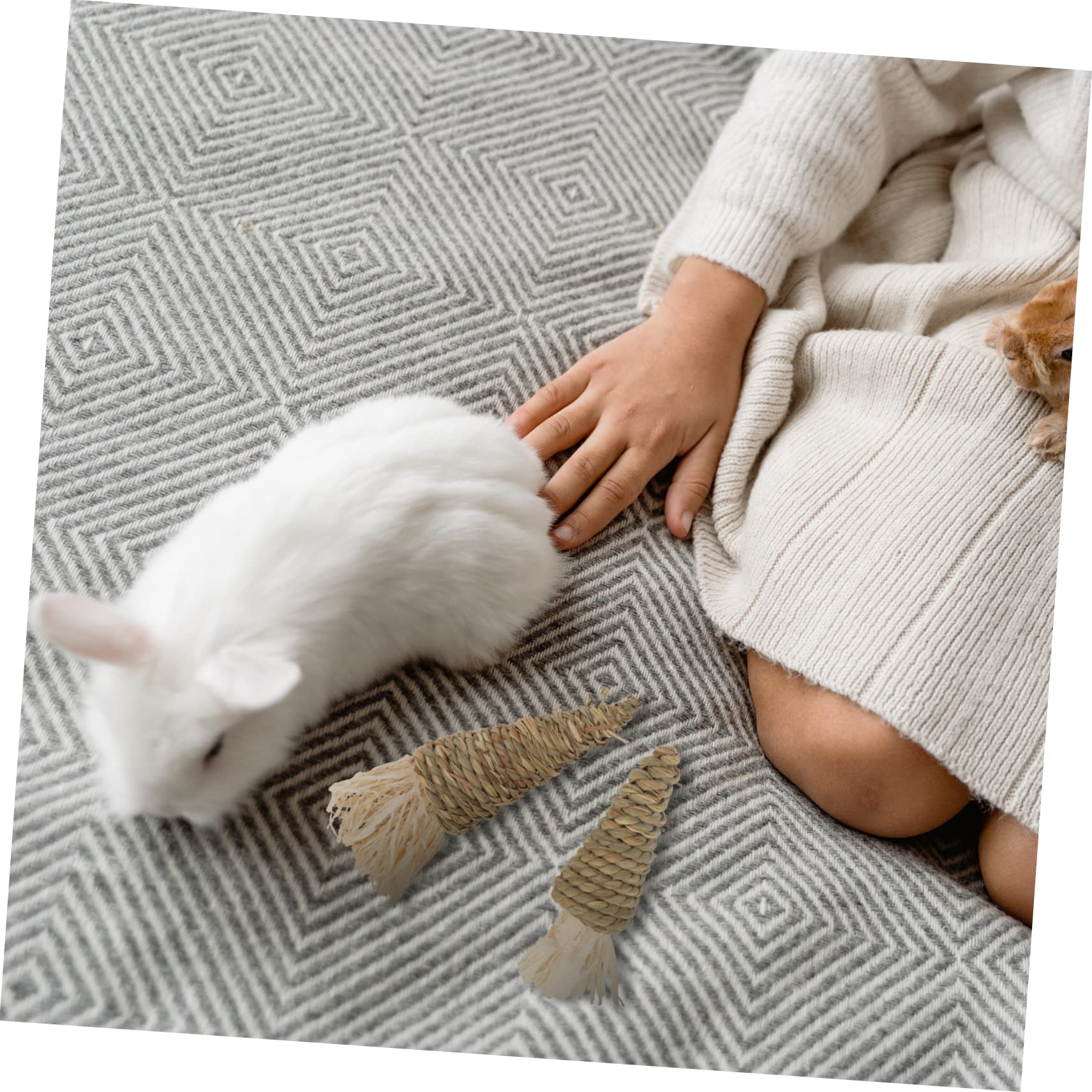 POPETPOP 3sätze Pet Kauspielzeug Karottenform Für Zahnreinigung Und Beschäftigung Geeignet Für Hamster Meerschweinchen Und Chinchillas Hellgrün Beige Teilig