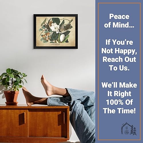 Vista 312 de Towee Bunting by James Audubon - Marco biselado negro de 12 x 16 pulgadas, decoración artística enmarcada para pared, reproducción de pinturas