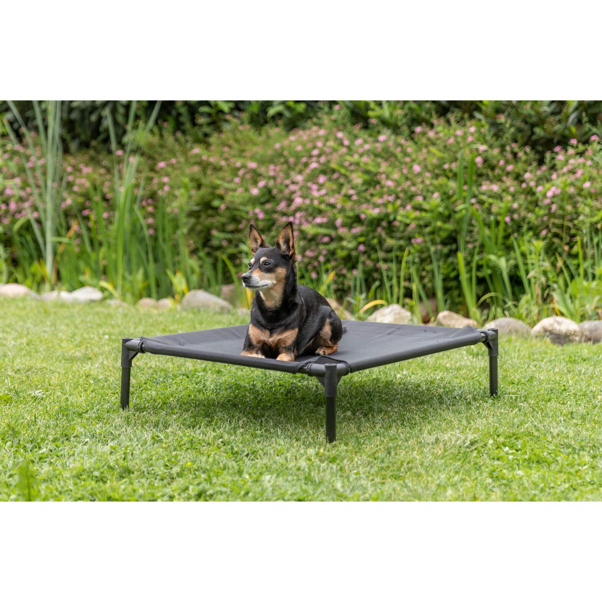 Trixie 2-in-1 Hundehütte und Hundebett, erhöhtes Zelt für drinnen und draußen mit abnehmbarer Abdeckung, wasserfest und UV-beständig, für kleine bis mittelgroße Hunde bis ca. 25 kg – 78 x 62 x 82 cm