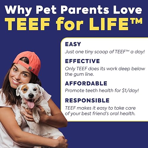 Miniatura 7 de Protektin42+K Cuidado dental diario derivado de plantas para todas las mascotas (sin sodio), aditivo de agua dental, combate la placa y el sarro,