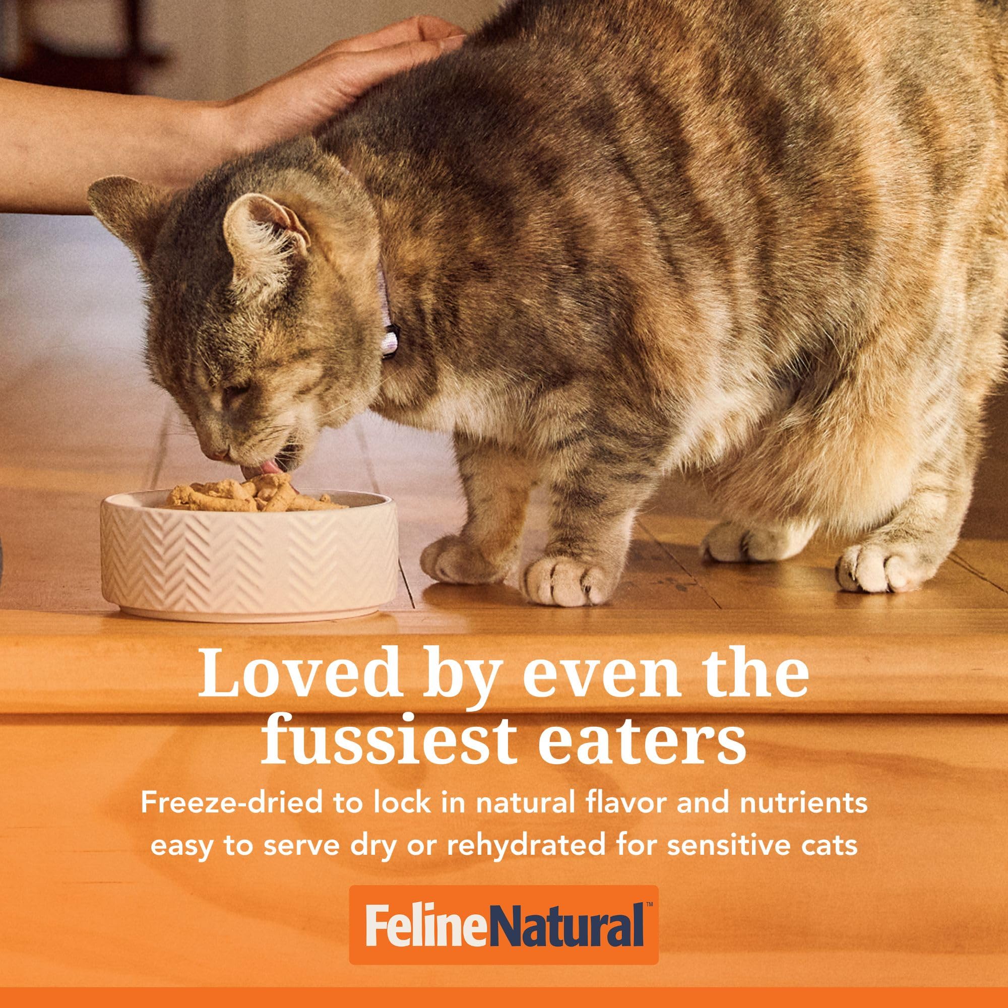 Amazon | フィーラインナチュラル フリーズドライ キャットフード ラム