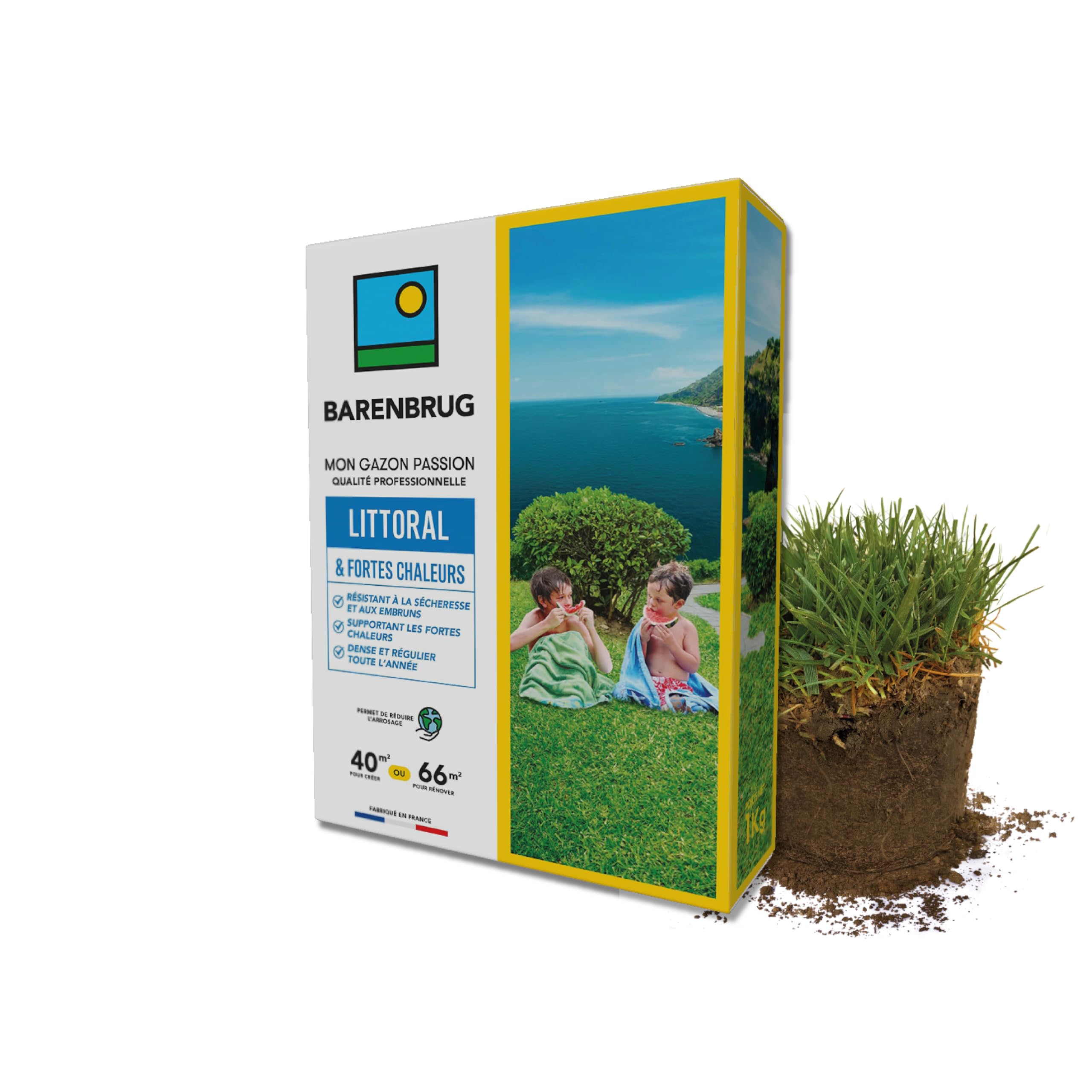 Semence gazon résistant sécheresse Barenbrug littoral 1KG longue durée