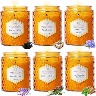 6 Pack Natural Soy Wax Jar Candles for Home, Scented Aromatherapy Gift S...