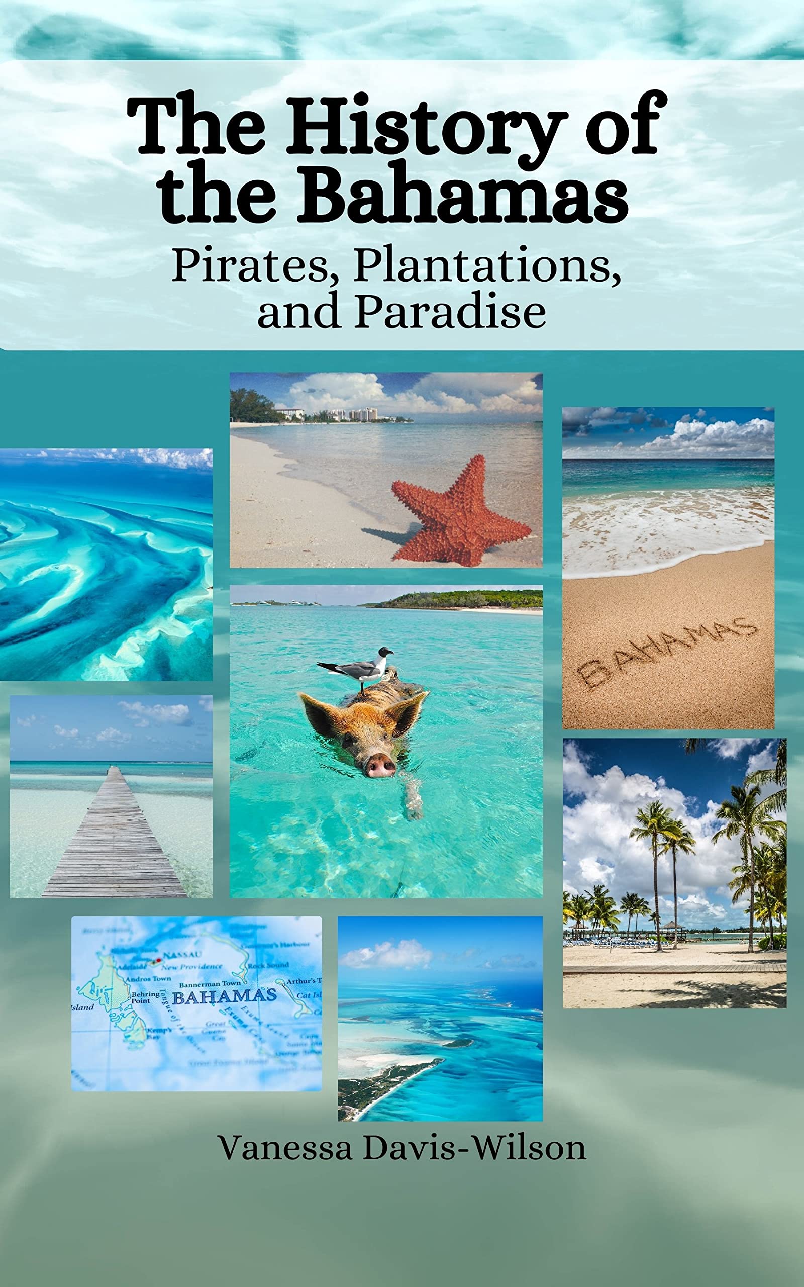 Buy The History of the Bahamas: Pirates, ations, and Paradise Online at desertcartINDIA