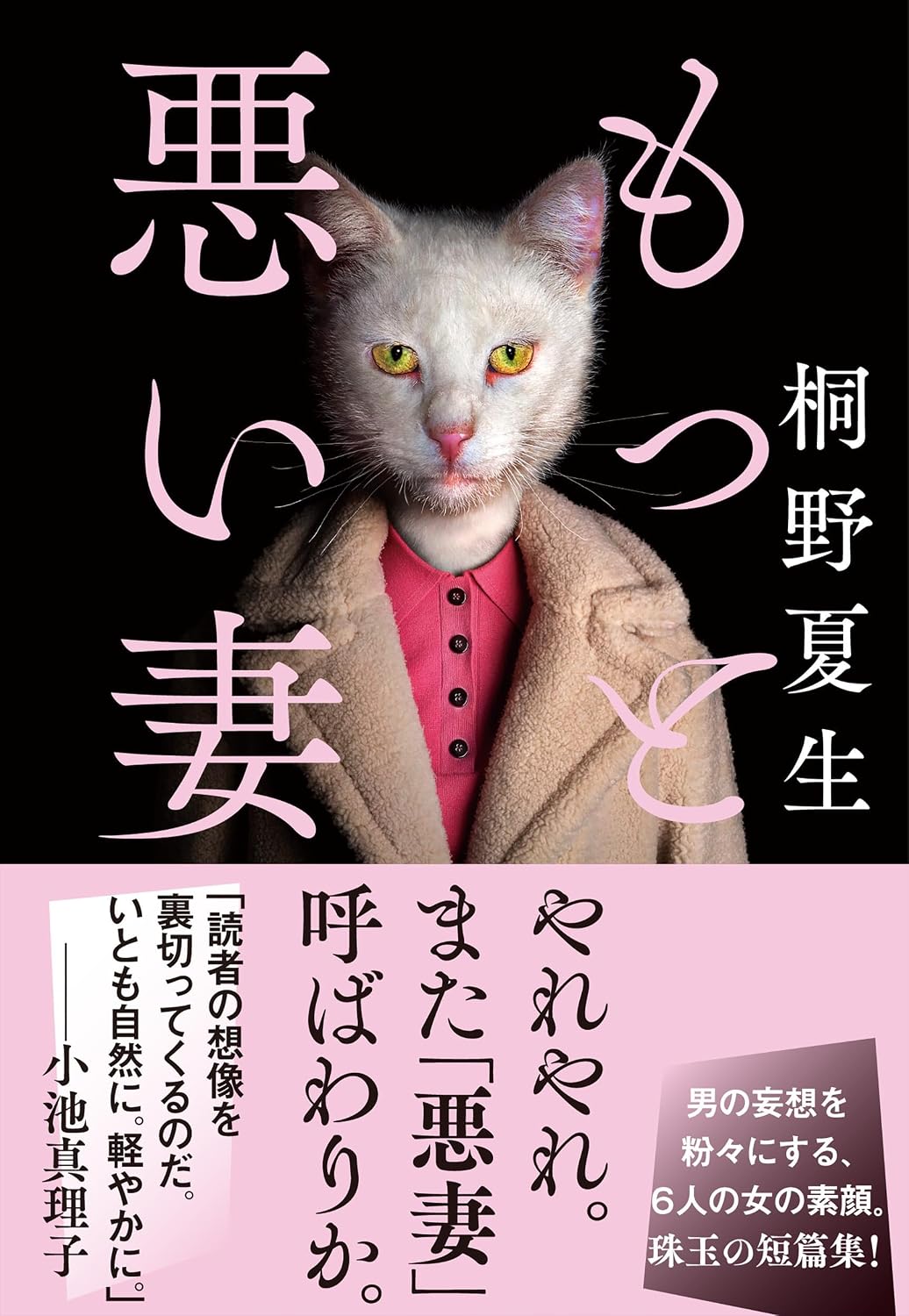 もっと悪い妻 桐野夏生