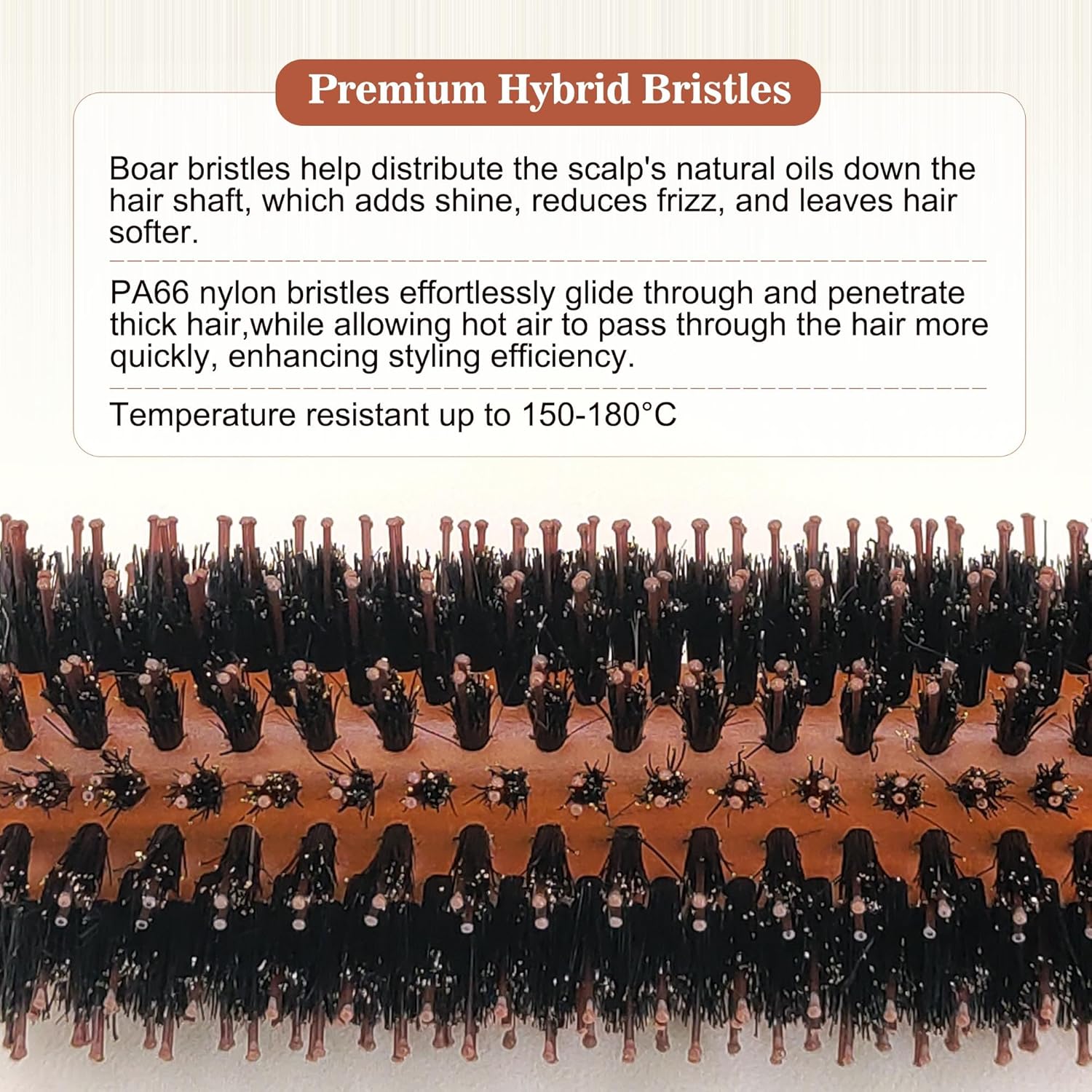 SUNBIRD Round Brush for Blow Out - Natural Wood Handle & Boar Bristle Nylon Brush, for Blow Drying Straight, Curling, Detangling and Styling Wet or Dry, Suitable for All Hair Types (2.0Inch) - Image 4