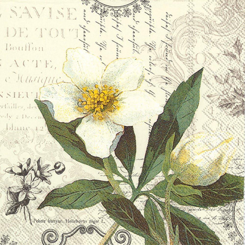 Boston International IHR Lunch Paper Napkins, 6.5" x 6.5", La Beaute Blanche Cream