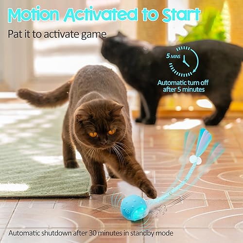 Miniatura 5 de Pelota interactiva de juguetes para gatos de interior, juguete de bola móvil automática de nueva generación 2025 con cola de malla elástica,