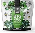 Big Green Leaves Indoor Plant Food - House Plant Fertilizer - Fast Acting Minerals +Superfood Sea Kelp | 4X More Concentrated Than Liquid Plant Food (1LB)