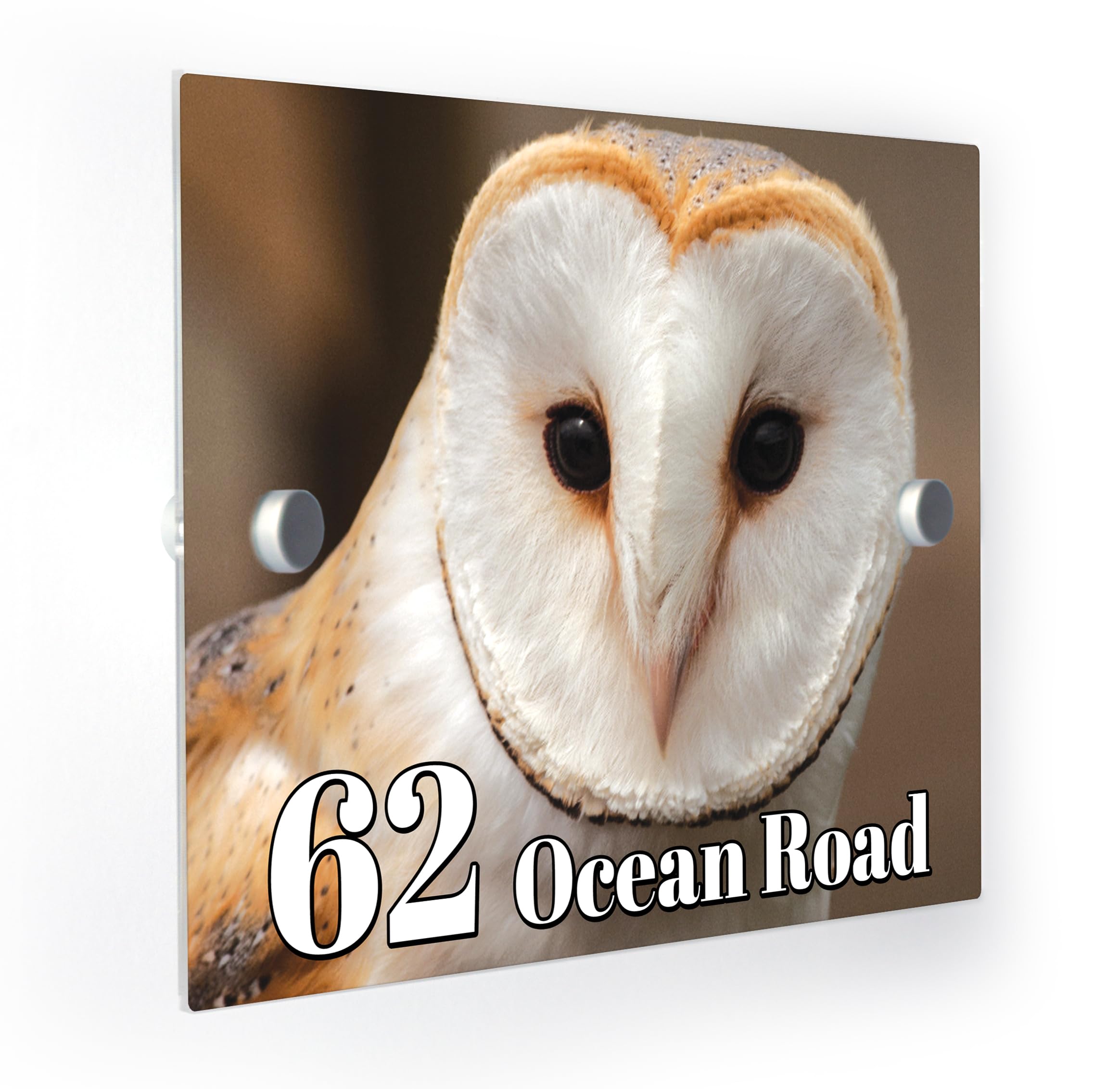 Barn Owl Personalised House Number Door Sign Plaque with Fittings