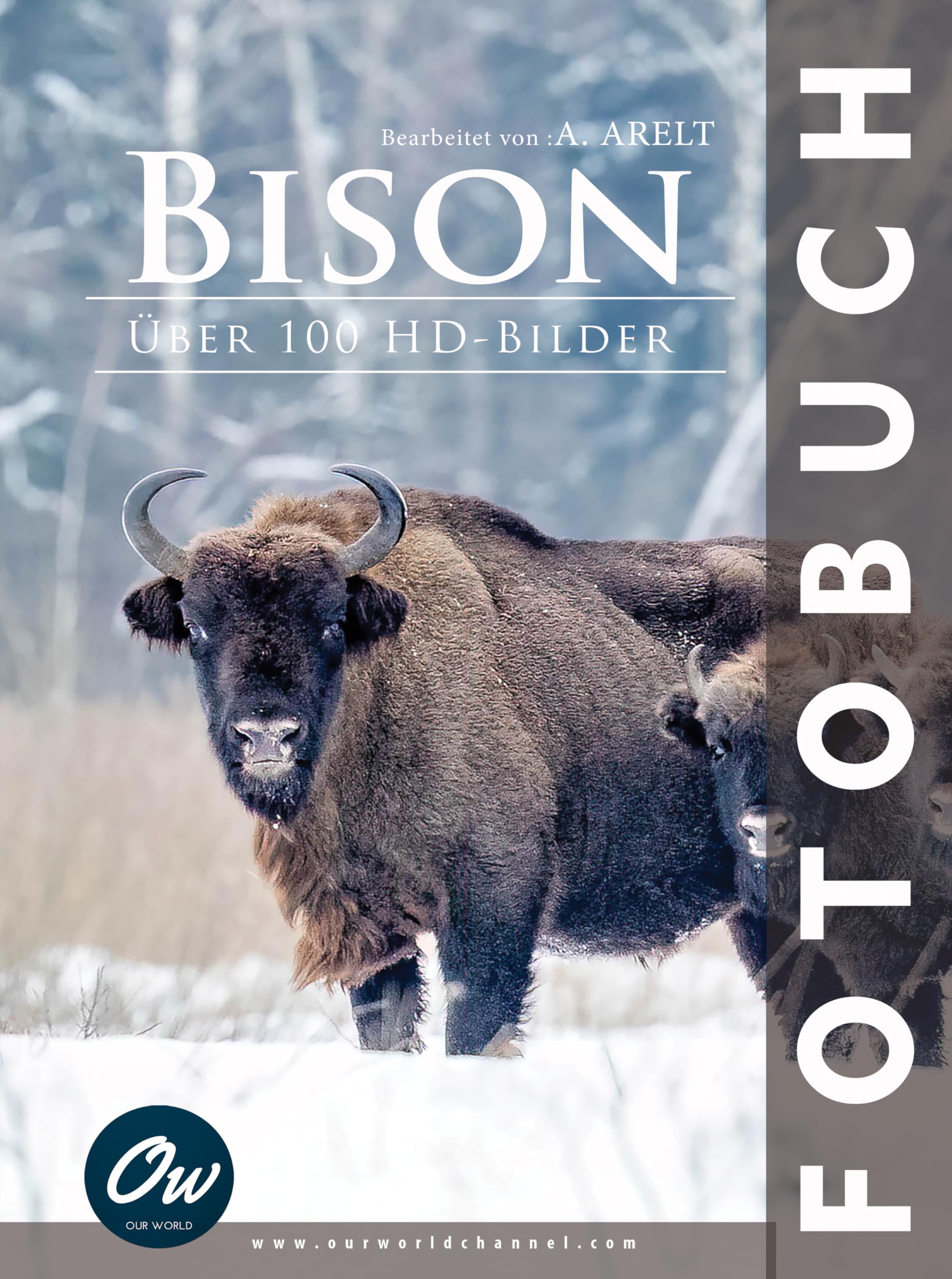 Bison: Fotobuch - Über 100 HD-Bilder (German Edition)
