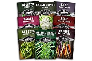 Non-GMO Vegetable Heirloom Seeds for Outdoor Fall Planting