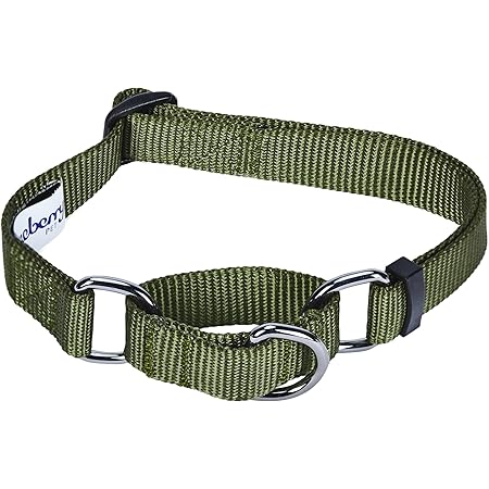 breakaway martingale collar