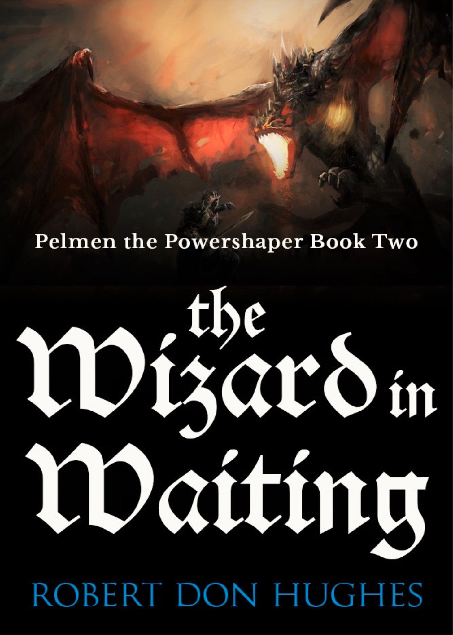 Book cover for The Wizard in Waiting