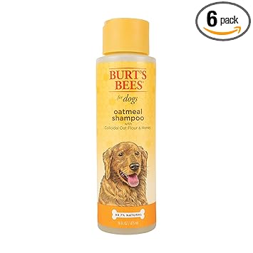 Burt's Bees for Dogs All-Natural Oatmeal Shampoo with Colloidal Oat Flour and Honey | Best Oatmeal Shampoo for All Dogs and Puppies with Itchy Skin, 16 Ounces