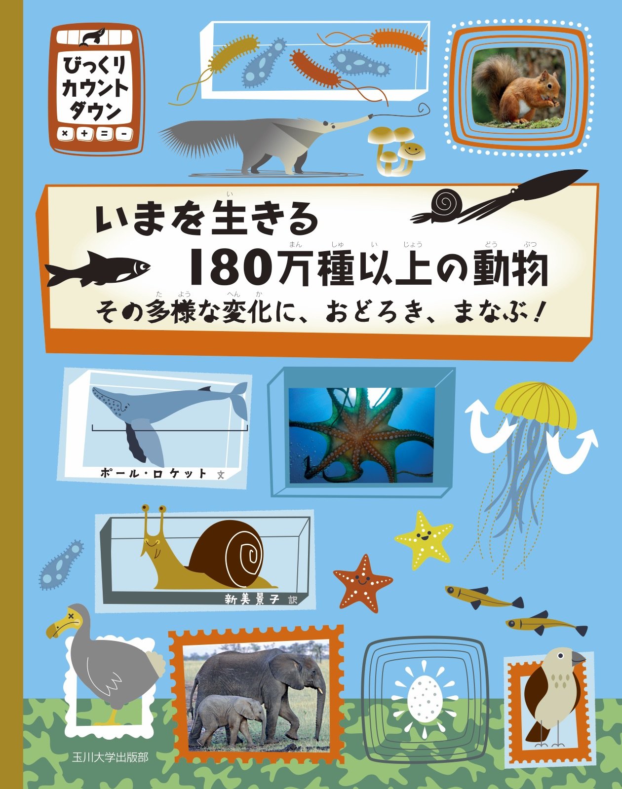 いきもの、動物に関する本　２３冊セット いきもの、動物に関する本 23冊セット