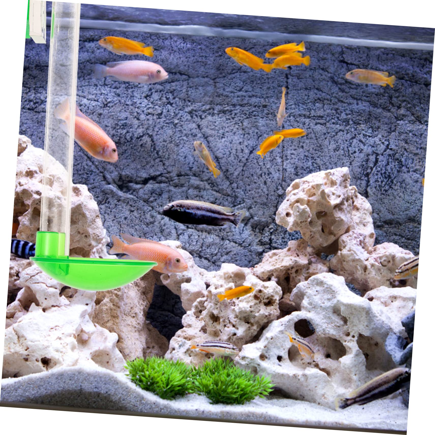 POPETPOP 3juegos Alimentador De Camarones para Acuario Transparente Accesorio Multifuncional De Acuario Fácil Instalación y Limpieza Material Duradero