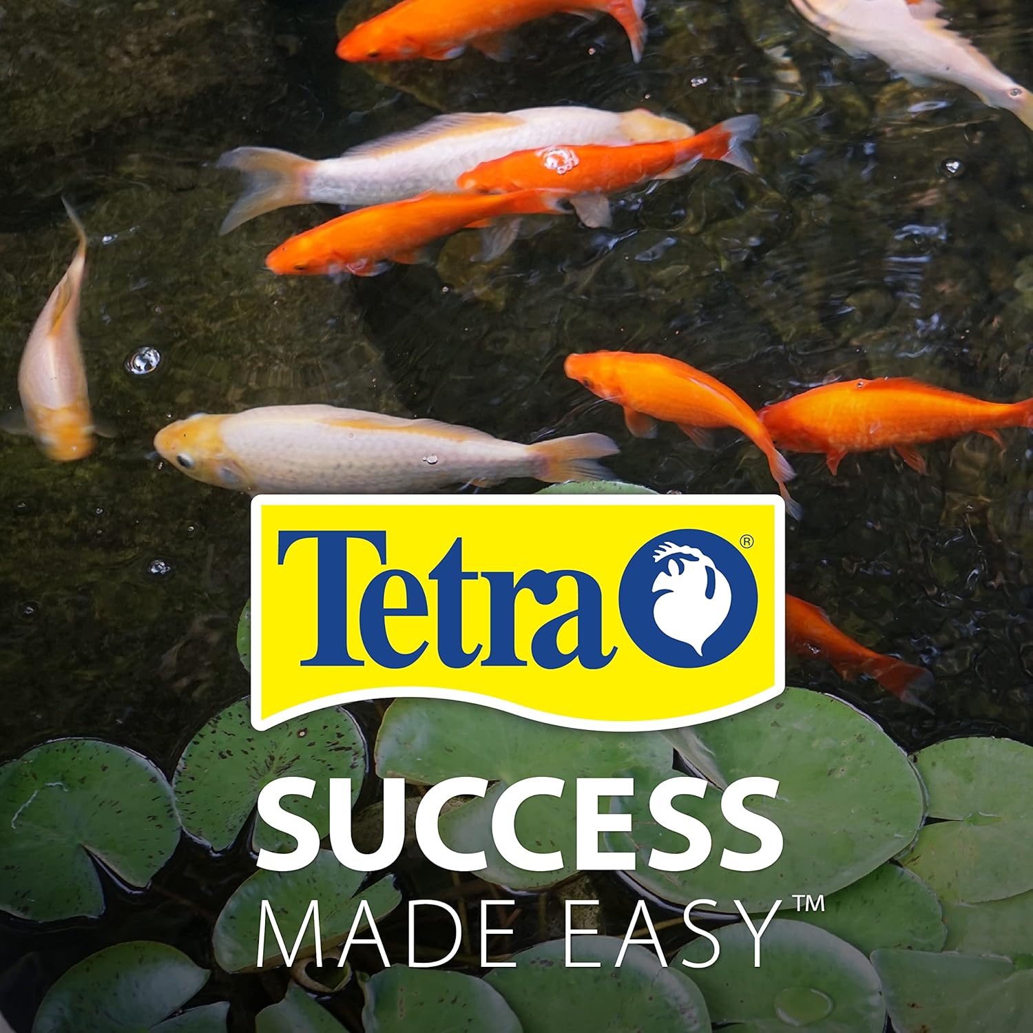 Tetra 77188 Algae Control Treats 36000 gallons, 101.4-Ounce : Patio, Lawn & Garden