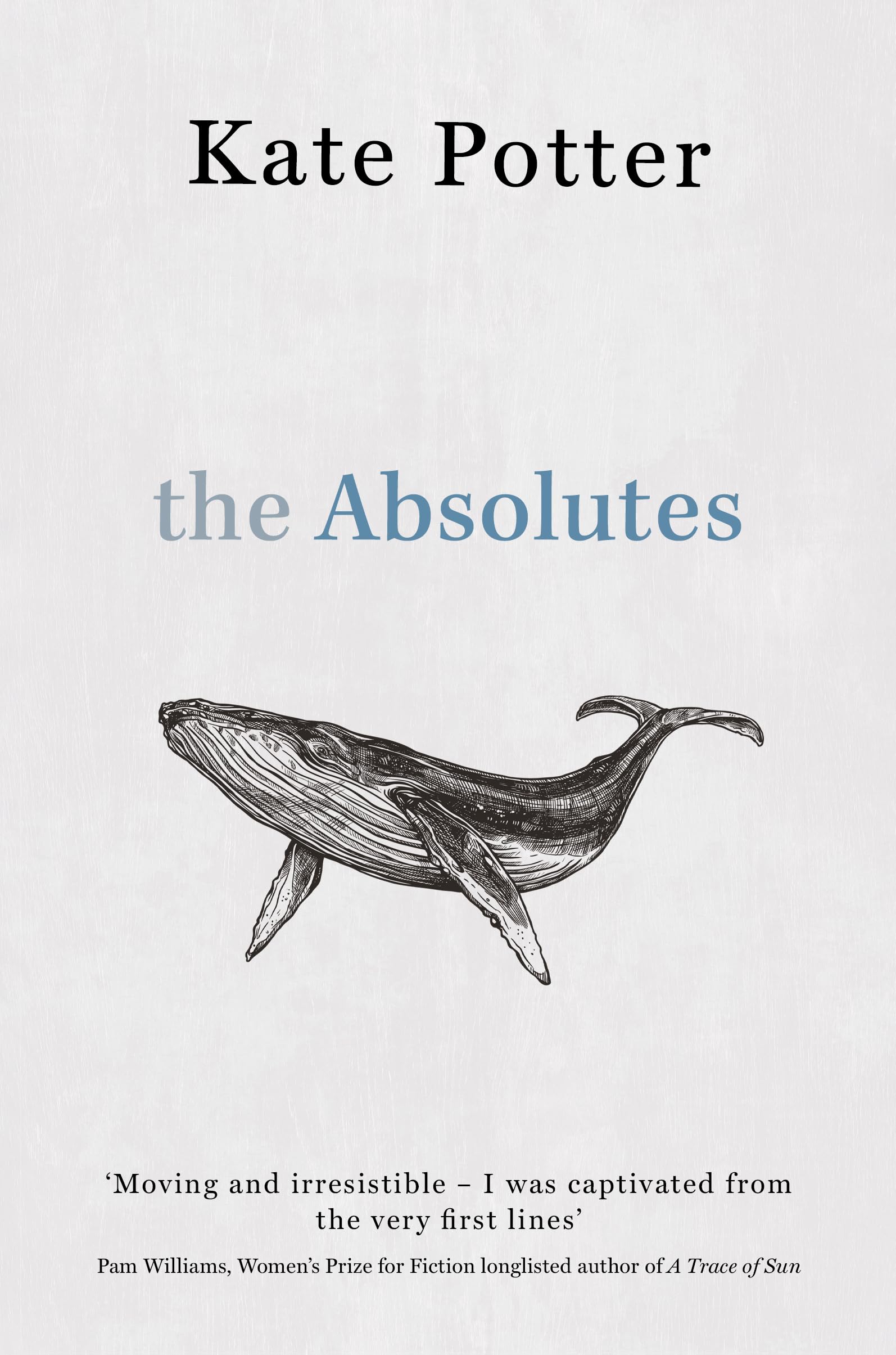 The Absolutes: a profound exploration of grief told through fragments of memory (English Edition)