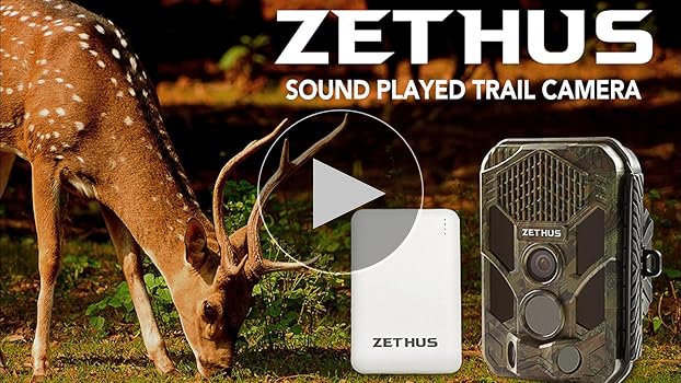 Amazon.com : ZETHUS 2.7K 20MP Trail Camera, Game Camera with