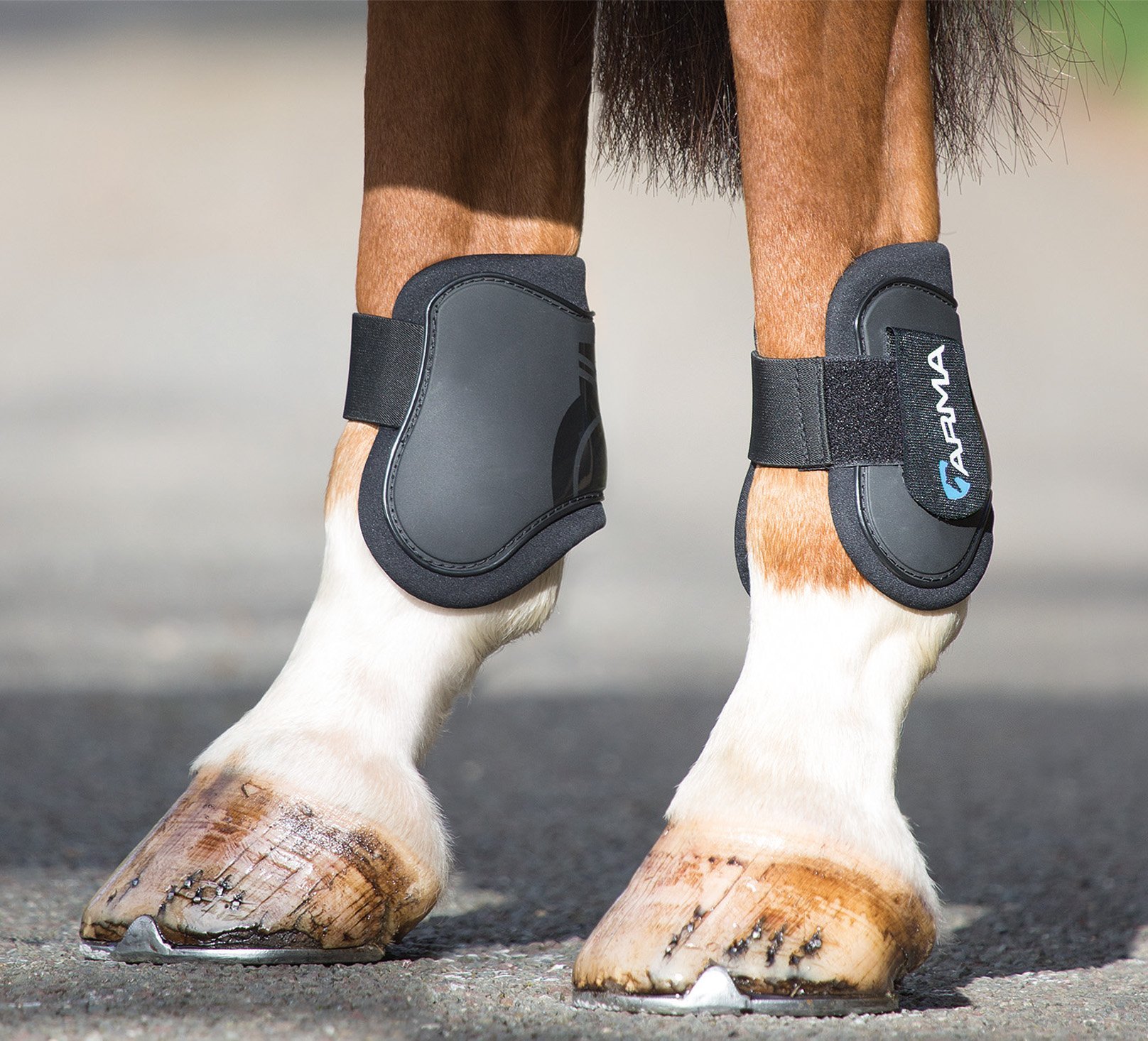 ARMA Rear Fetlock Boots
