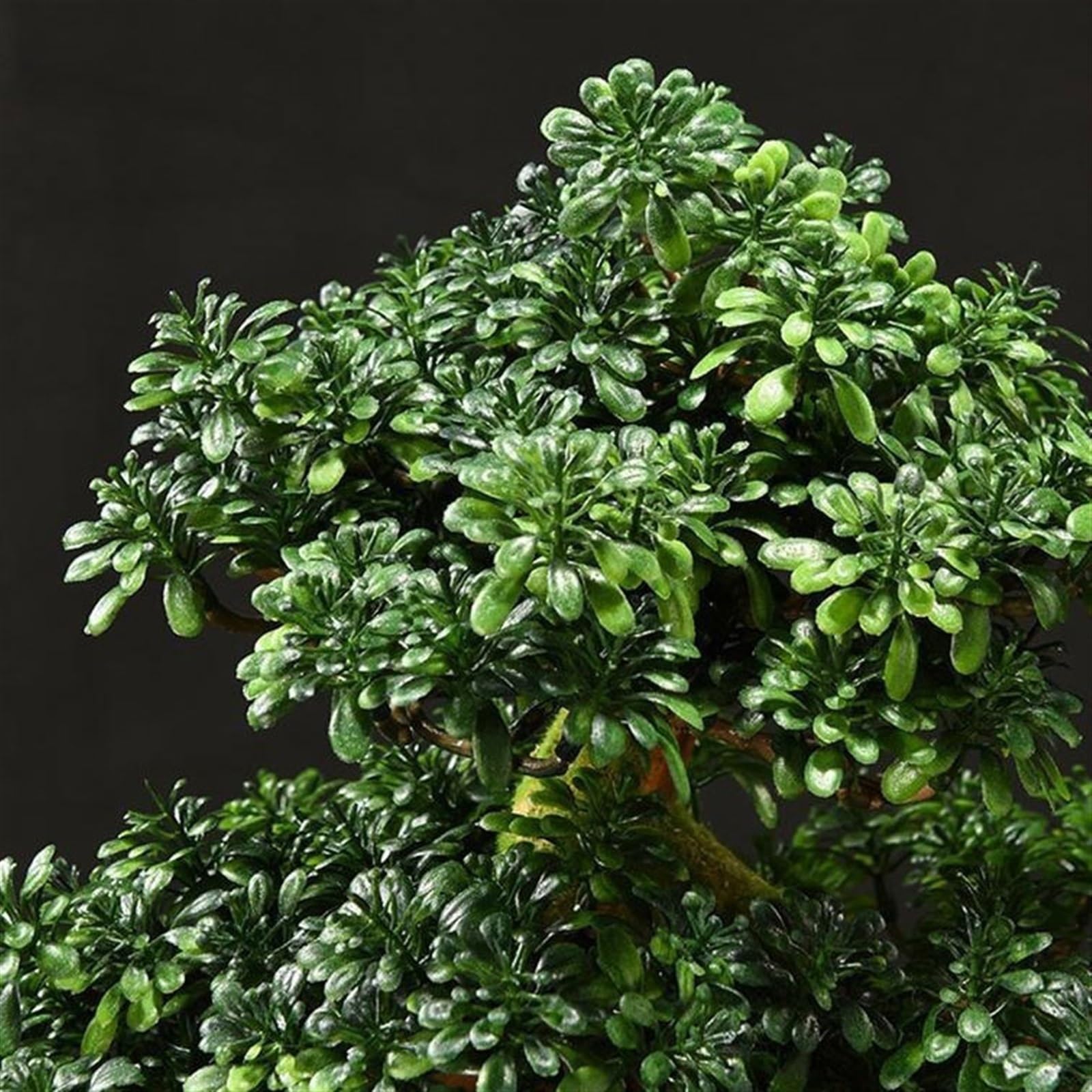 Fałszywe drzewo Symulacja drzewa Bonsai w celu poprawy Feng Shui przynoszącego szczęście dekoracje przedpokoju salon dekoracyjne ozdoby Wystrój wnętrz