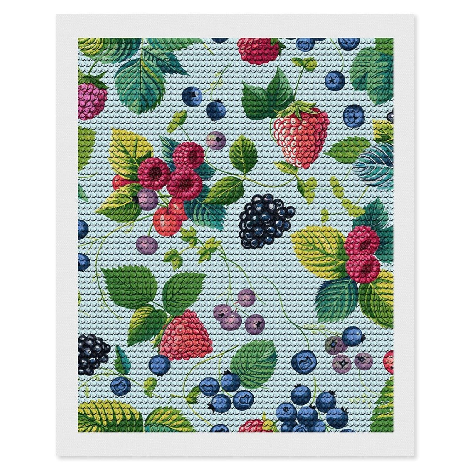 FodPand Diamond Art Kits for Adults, 5D Aurora Diamond Painting Kits for Beginners, Various Berry Paintings DIY Full Drill Dots Gem Art Paint Crafts for Home Wall Decor 16"x20"