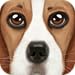 Ultimate Dog Simulator
