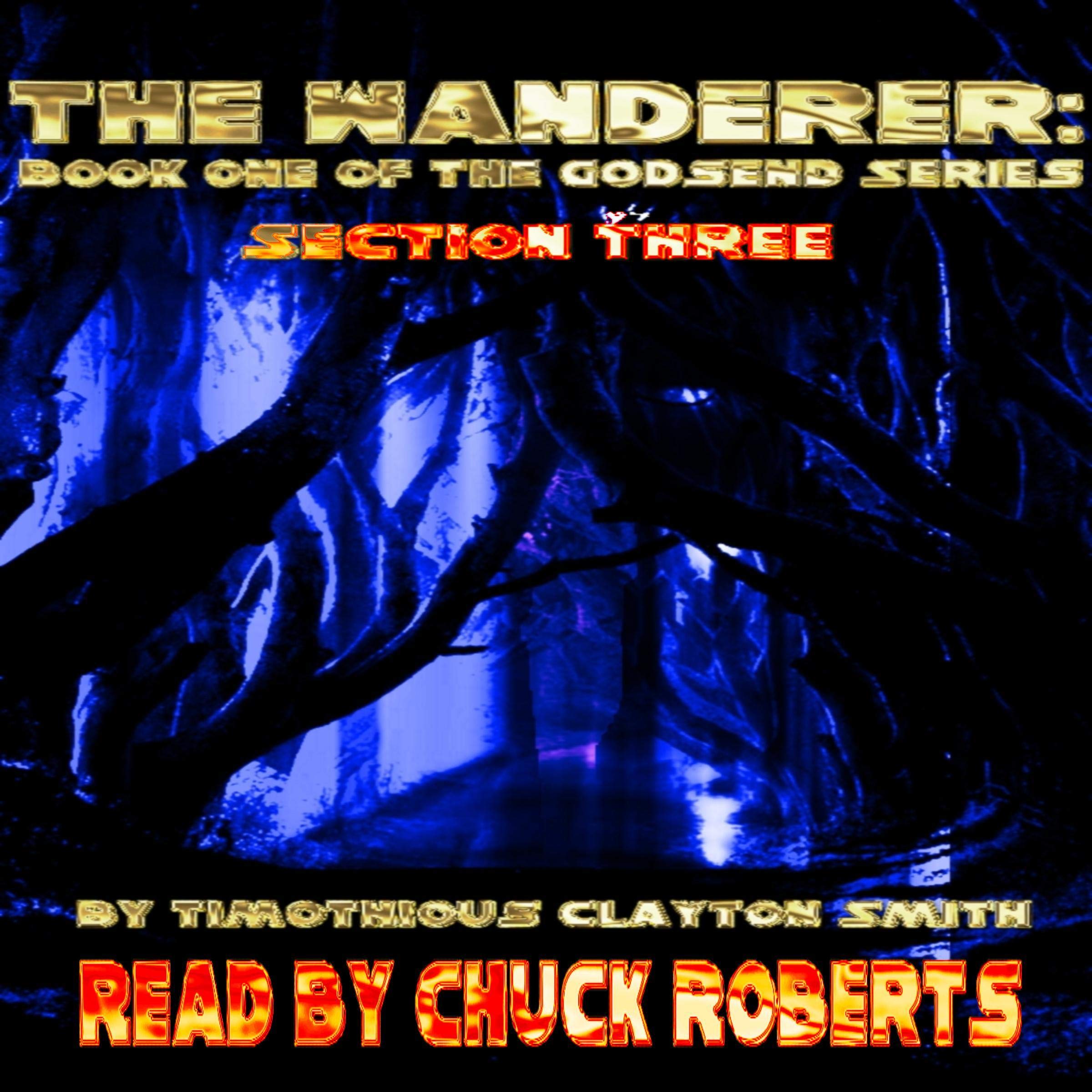 Cover art for The Wanderer: Book One of the Godsend Series, Section 3
