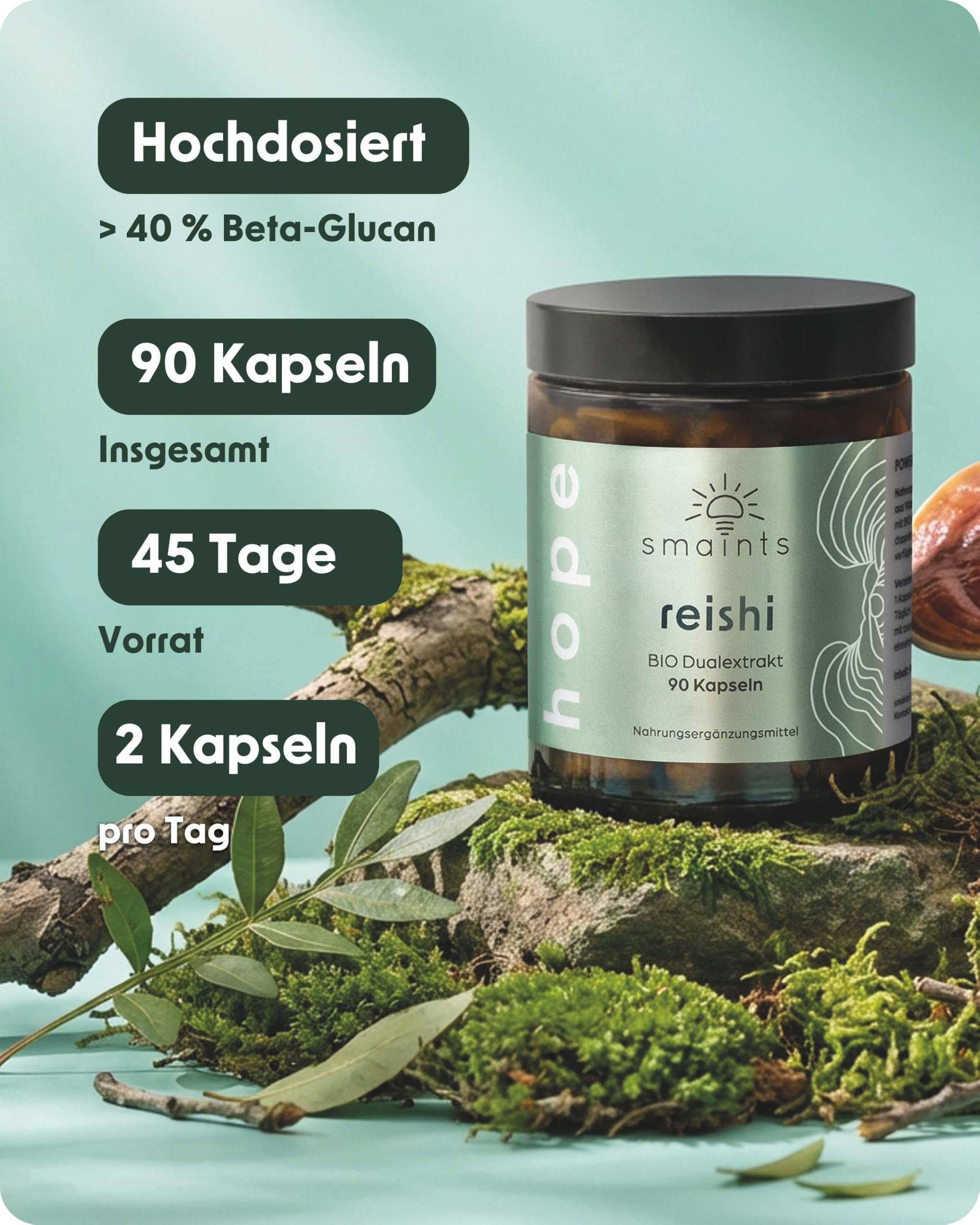 Reishi Extrakt Kapseln BIO Hochdosiert - 90 Kapseln Vitalpilze Komplex