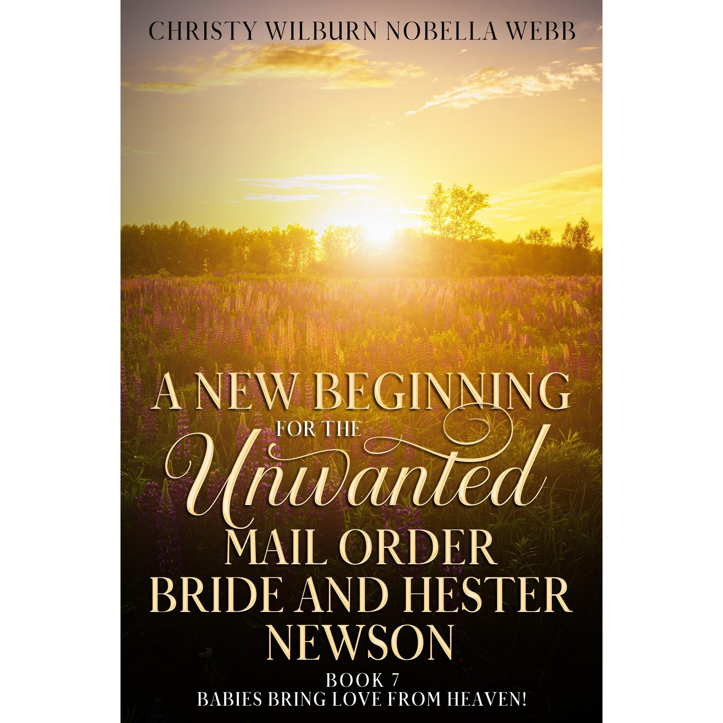 A New Beginning for the Unwanted Mail Order Bride and Hester Newson