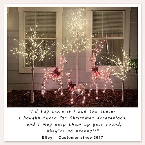 Best Twig Christmas Trees Under $200
