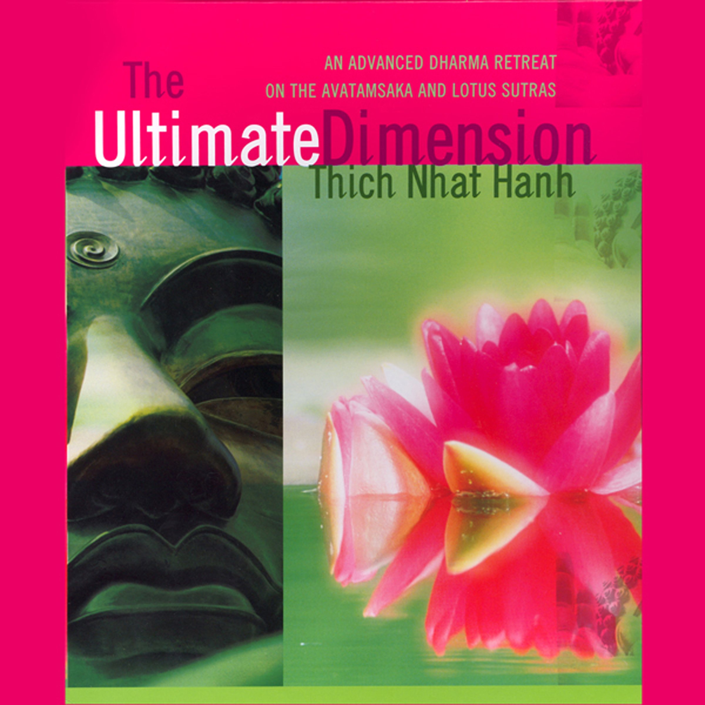 Cover art for The Ultimate Dimension