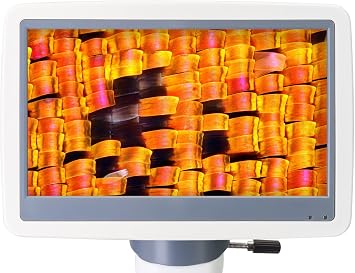 Levenhuk D95L LCD Compound Biological Laboratory Microscope with 40-2000x Magnification, Adjustable LED Light, and 7 Digital Screen