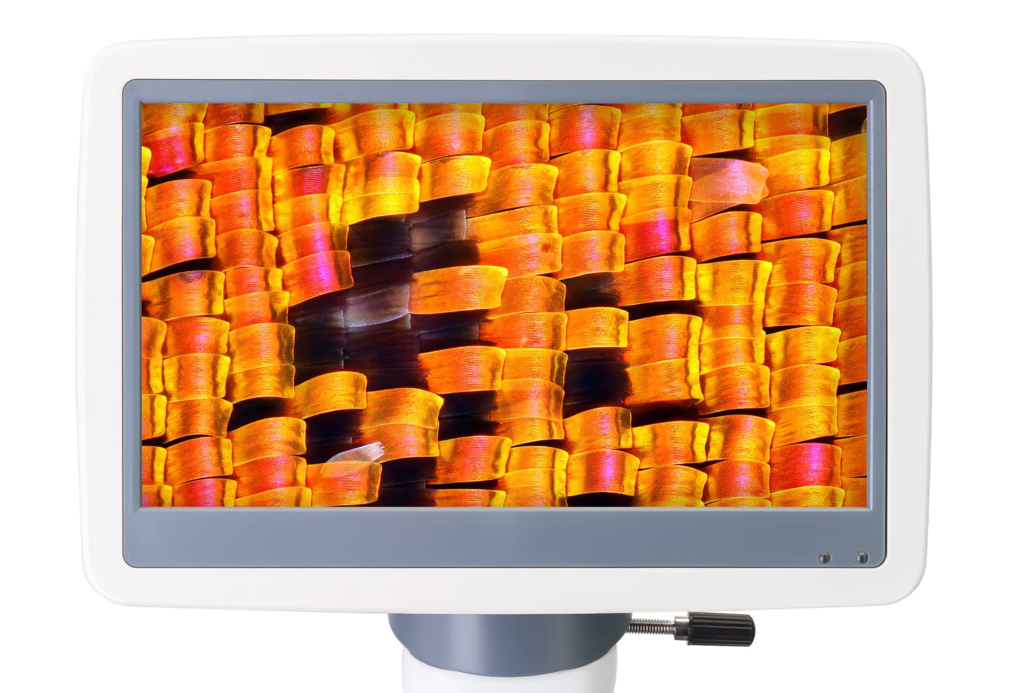 Levenhuk D95L LCD Biologiczny Mikroskop Laboratoryjny z Powiększeniem 40–2000 Razy, Regulowanym Oświetleniem LED i 7-Calowym Ekranem Cyfrowym