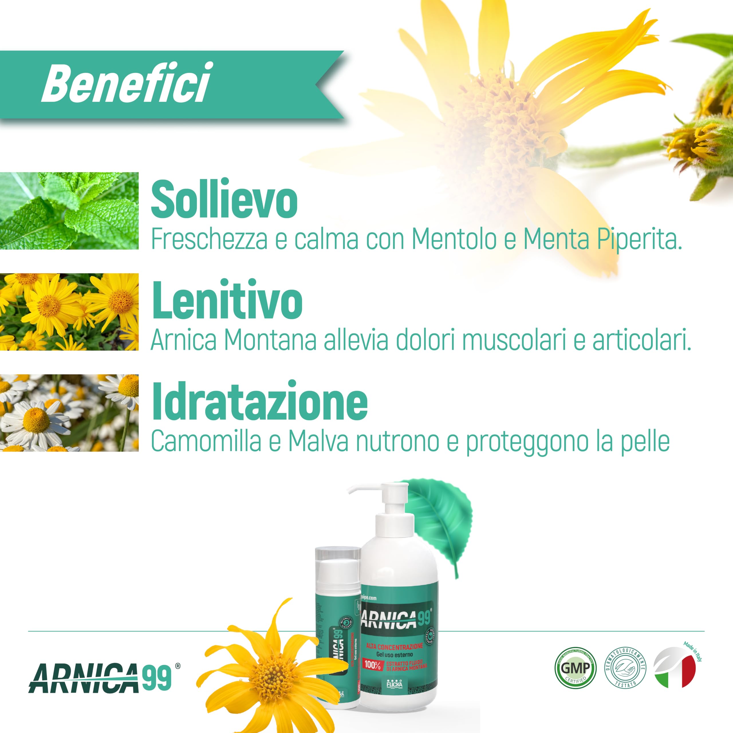 Árnica para caballos de uso humano Flicka - Extracto fluido 100% extra fuerte e intenso Made in Italy masaje músculos y articulaciones Origen natural dermatológicamente testado Envase 500 ml (botella)