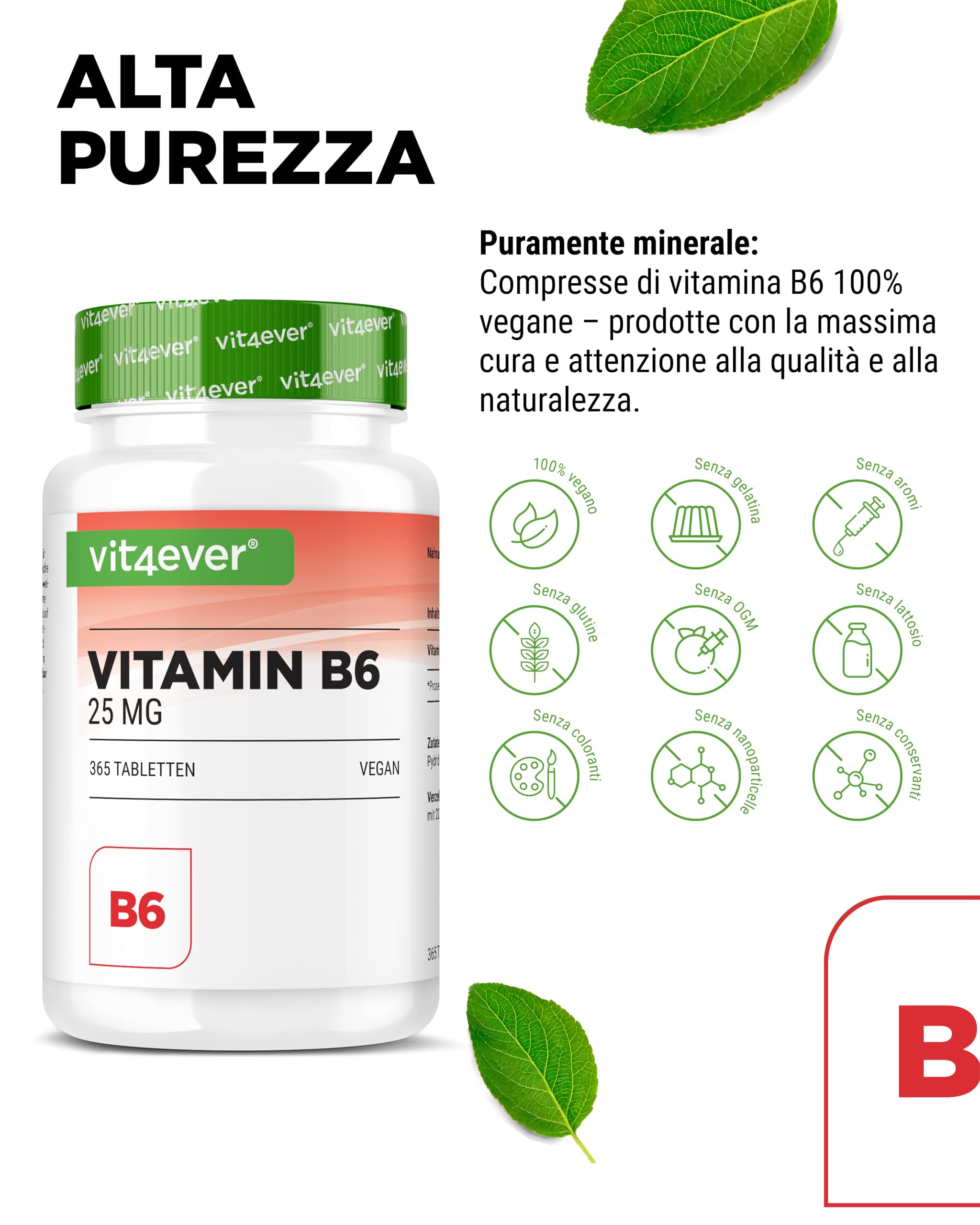 Vitamina B6 come P-5-P - 365 compresse - Dosaggio elevato con 25 mg (piridossal-5-fosfato) - Premium: vitamina B6 bioattiva - Senza additivi indesiderati - Vegan